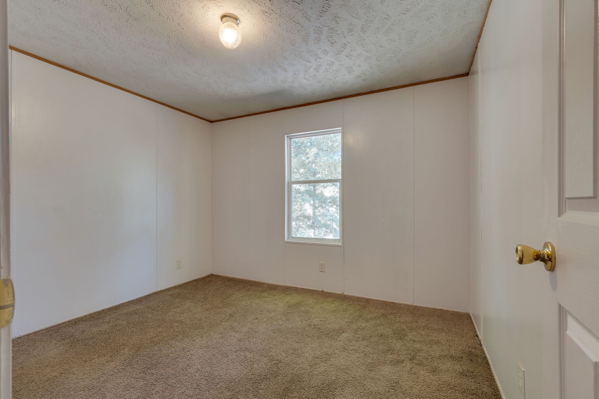 1824 Buffalo Road Hohenwald, TN 38462 - Photo 20 of 24 Gallery Image 20