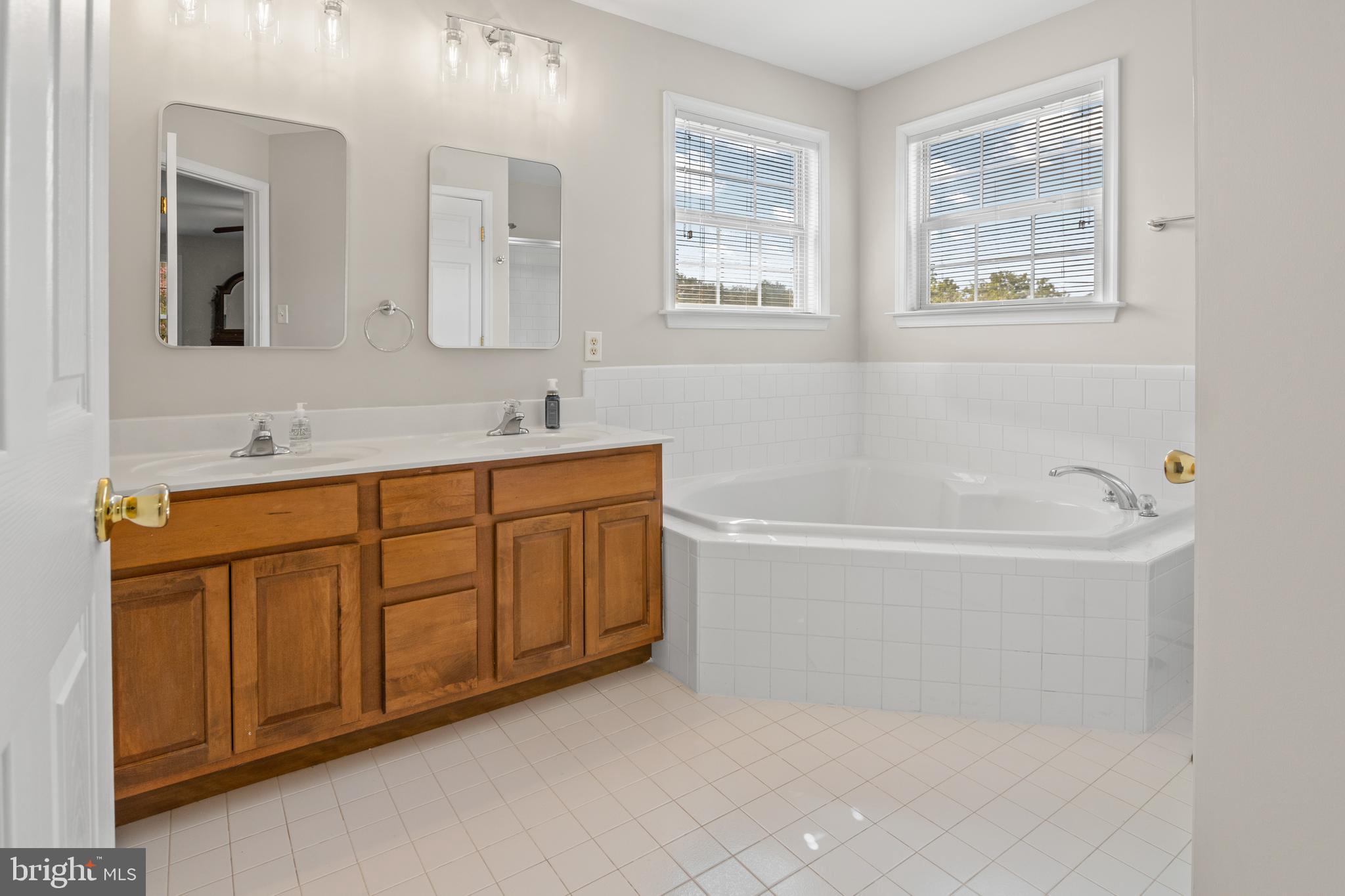 8366 WB&A Road Severn, MD 21144 - Photo 25 of 43 super bath with garden tub