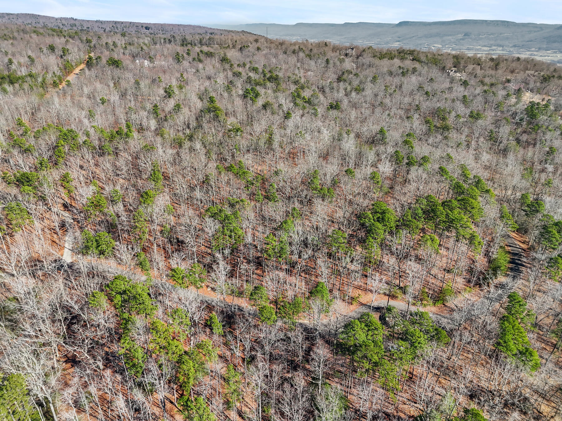 0 Tall Tree Trail, Unit 406 Dunlap, TN 37327 - Photo 8 of 22 dji_20260106014415_0615_d