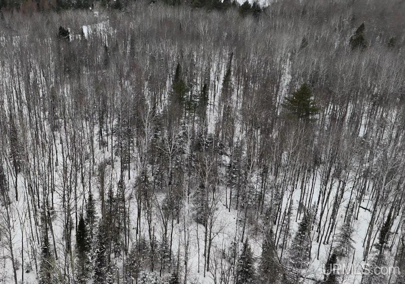 Tbdn75 Tapiola Road Chassell, MI 49916 - Photo 4 of 20 Gallery Image 4