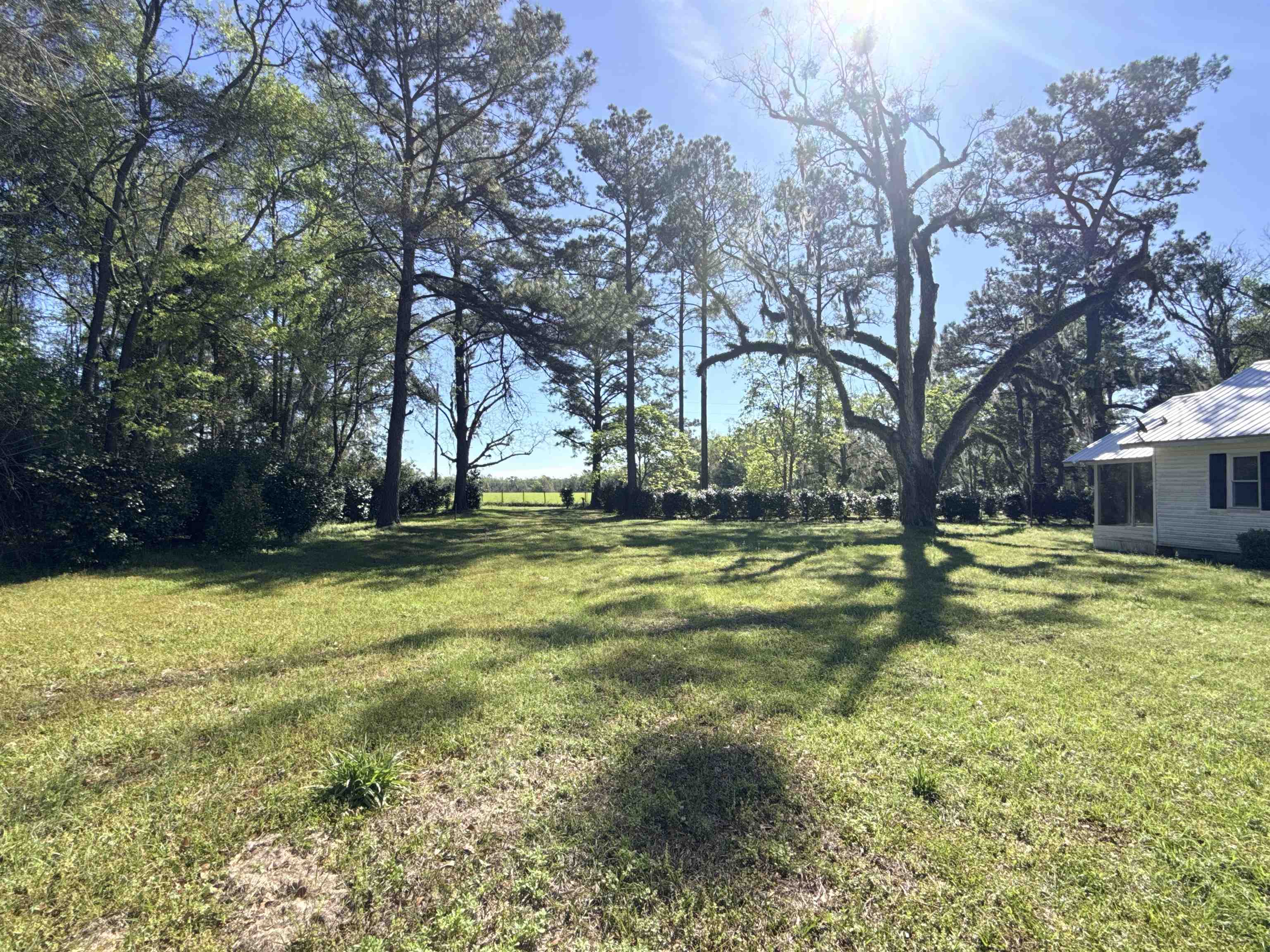 167 Phelps Road Monticello, FL 32344 - Photo 30 of 30