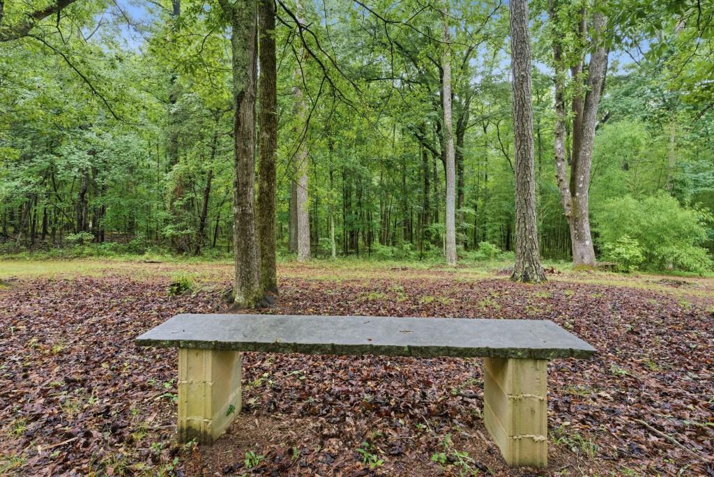 542 Knox Chapel Road Social Circle, GA 30025 - Photo 39 of 52 a view of a backyard with green space