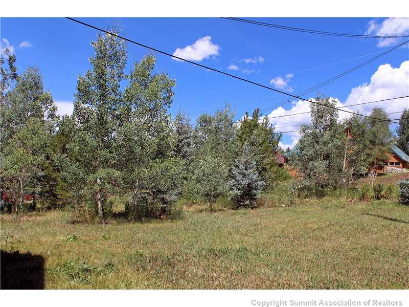 63 Idlewild Drive Summit Cove, CO 80435 - Photo 21 of 25 a view of a yard