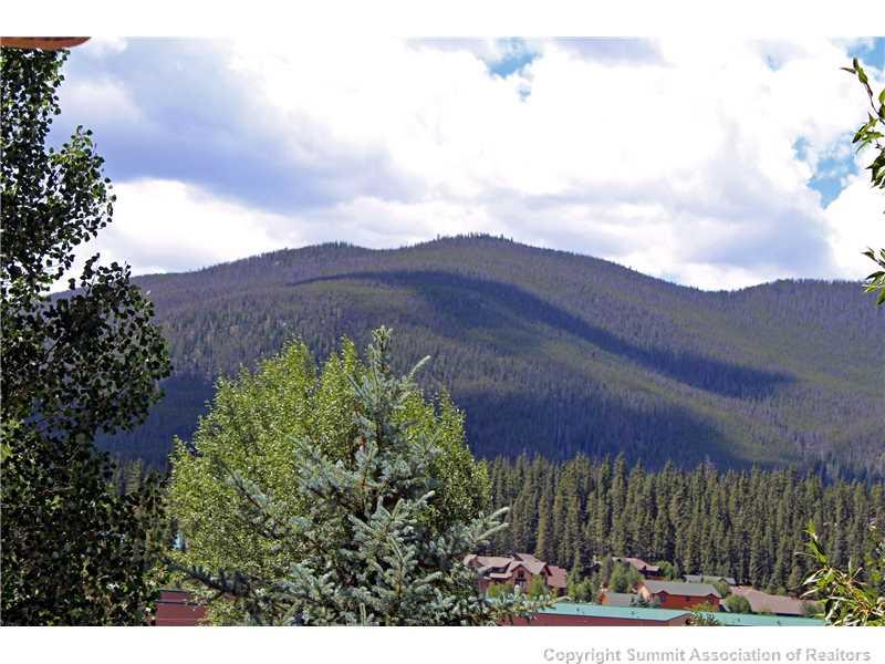 63 Idlewild Drive Summit Cove, CO 80435 - Photo 24 of 25 a view of a lush green hillside and a houses