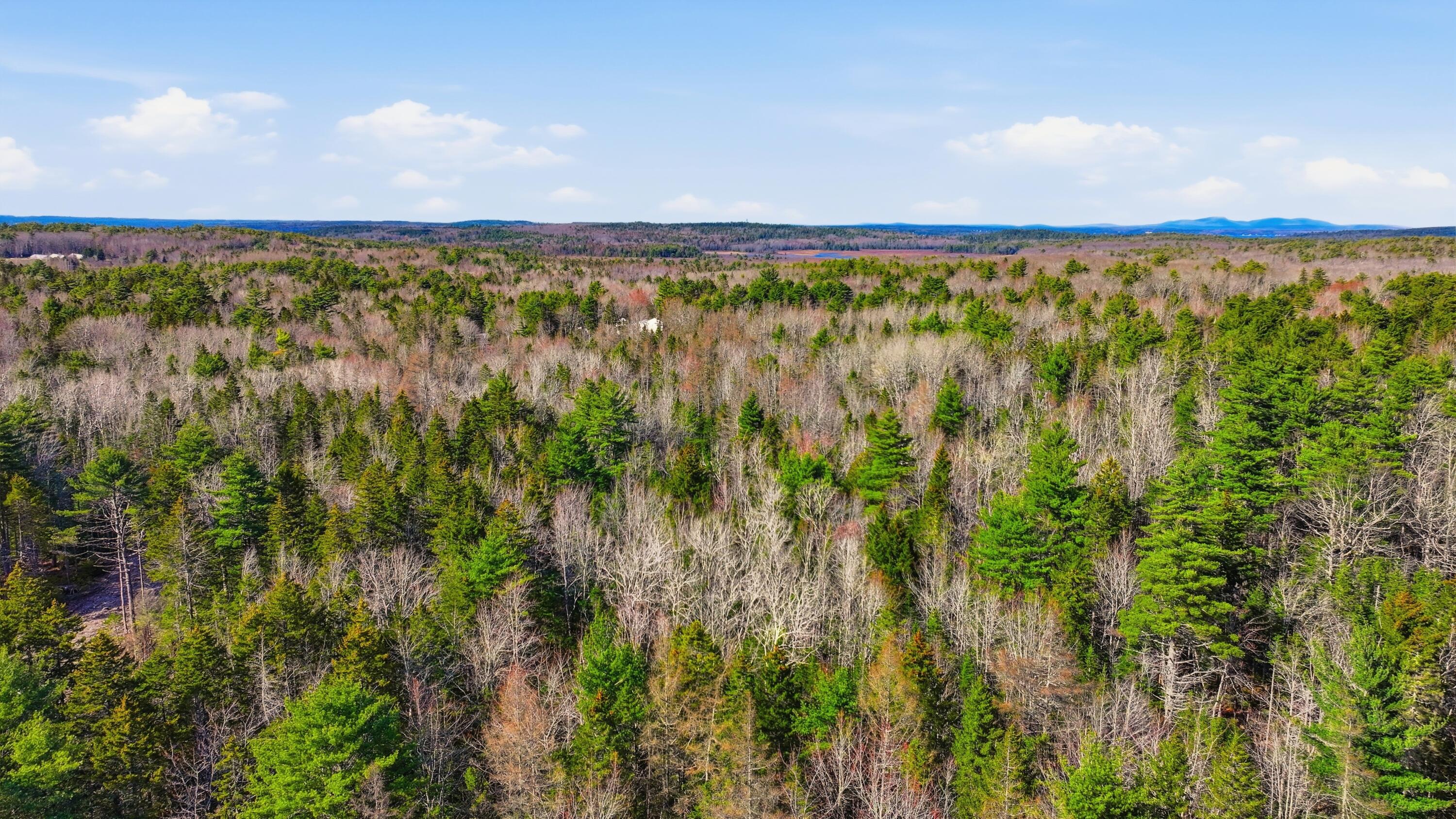 0 Crooked Road Bar Harbor, ME 04609 - Photo 11 of 12 Lamacchia_Realty_017