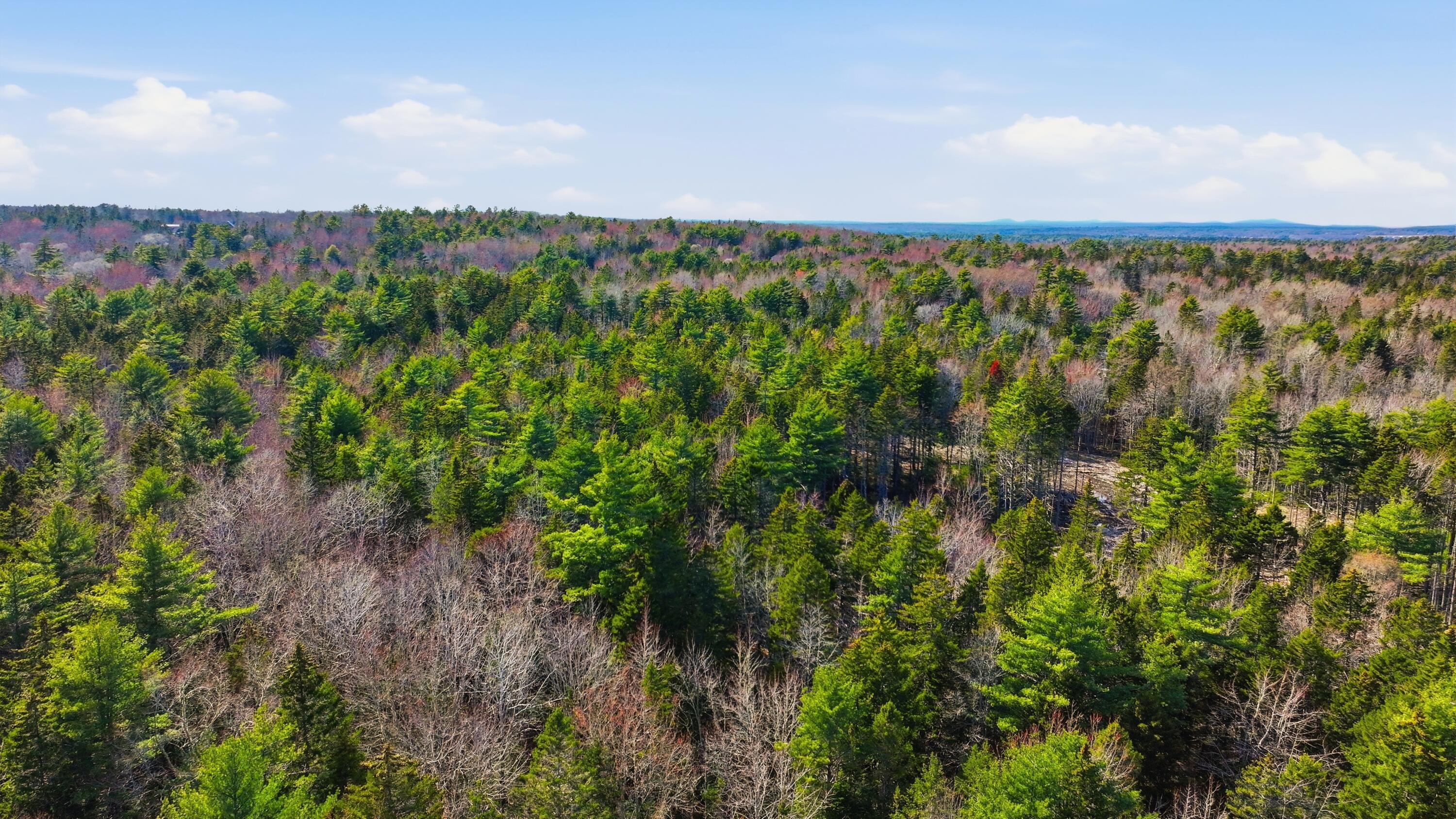 0 Crooked Road Bar Harbor, ME 04609 - Photo 12 of 12 Lamacchia_Realty_018