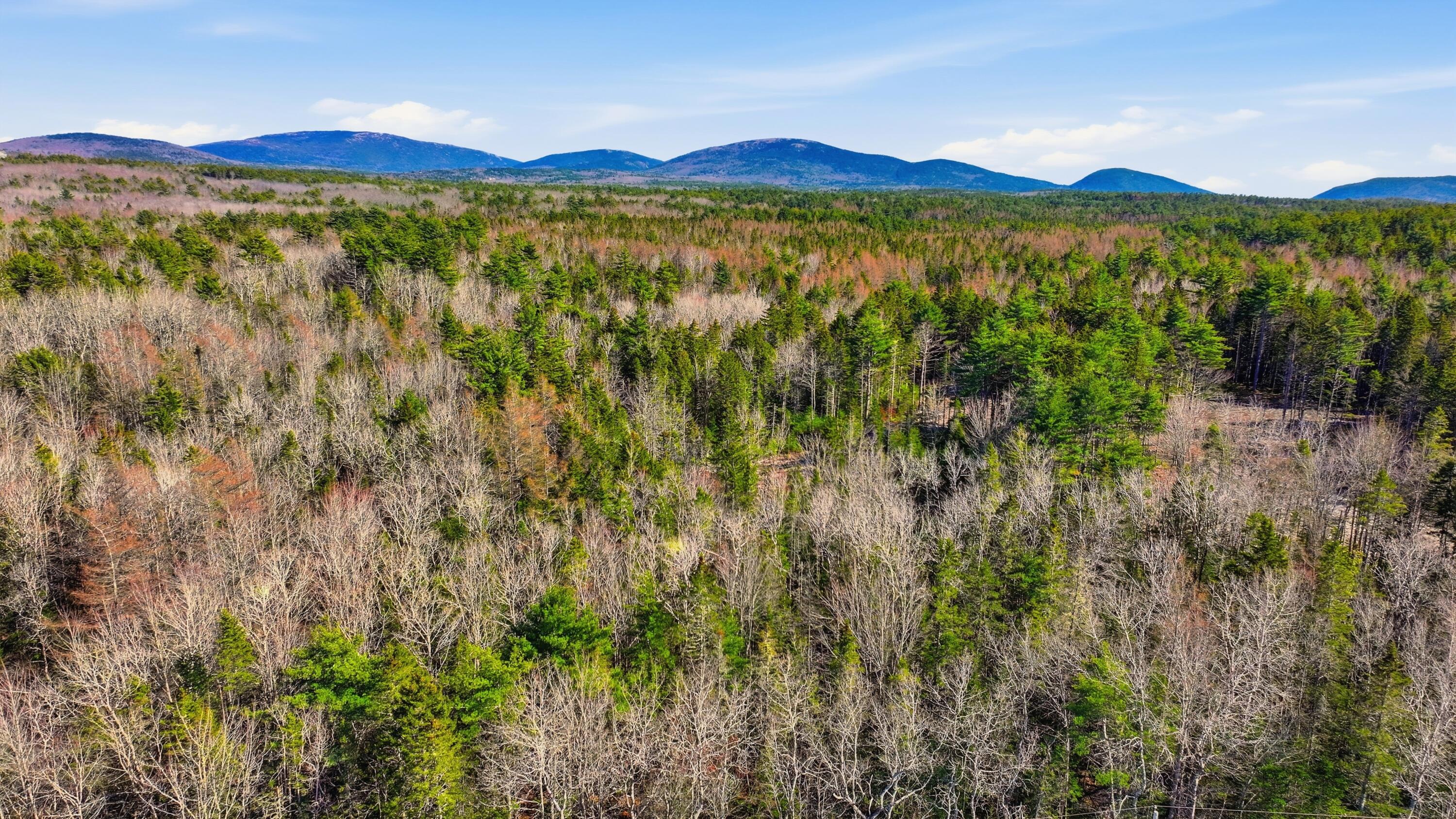 0 Crooked Road Bar Harbor, ME 04609 - Photo 2 of 12 Lamacchia_Realty_003