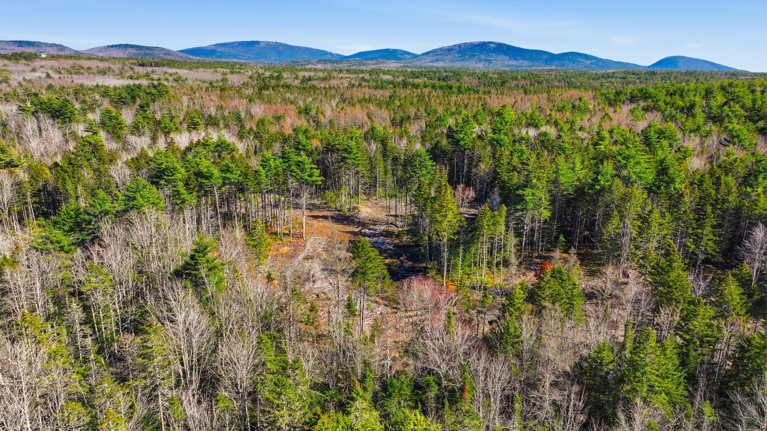 0 Crooked Road Bar Harbor, ME 04609 - Photo 3 of 12 Lamacchia_Realty_006