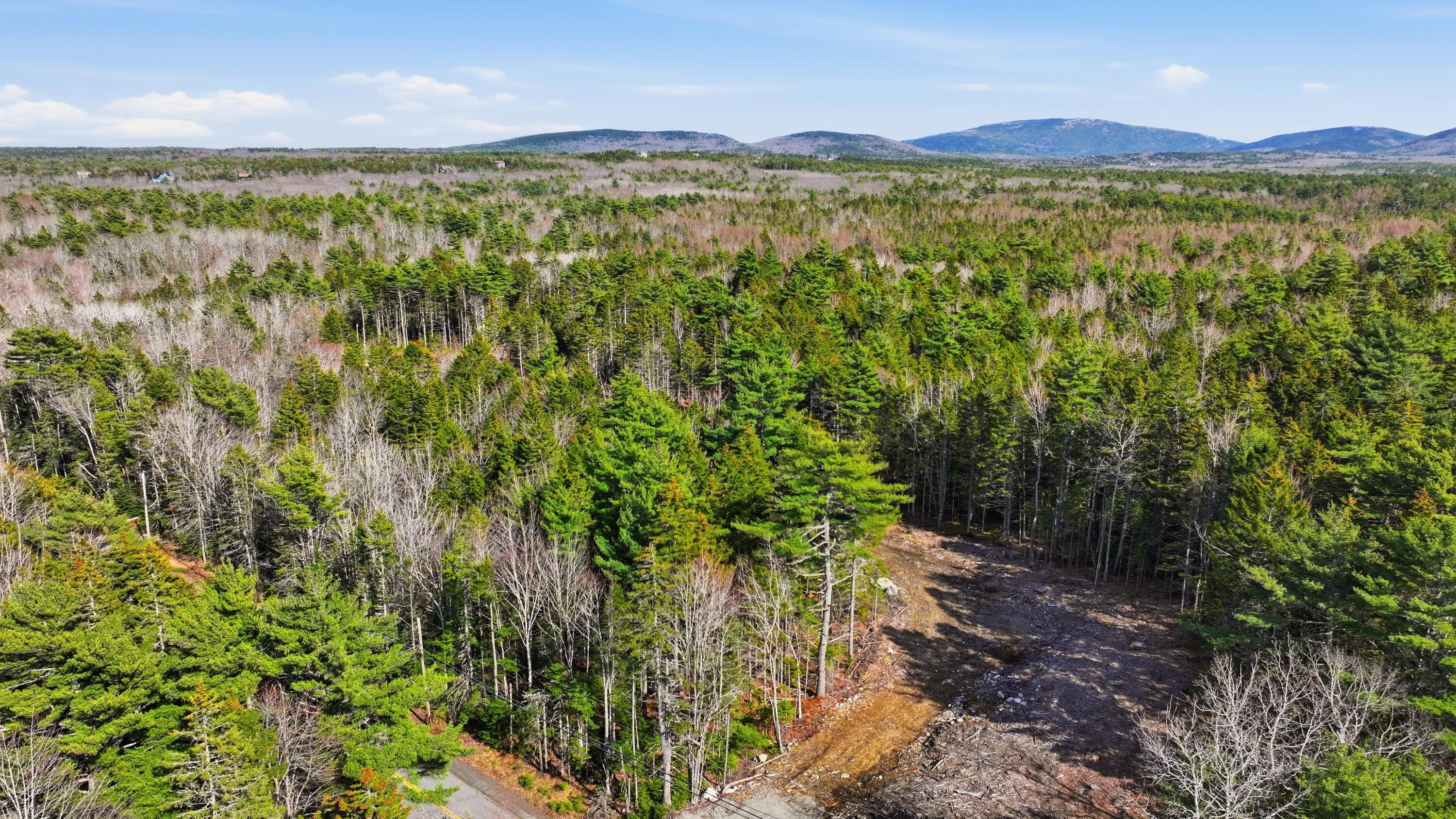 0 Crooked Road Bar Harbor, ME 04609 - Photo 4 of 12 Lamacchia_Realty_008
