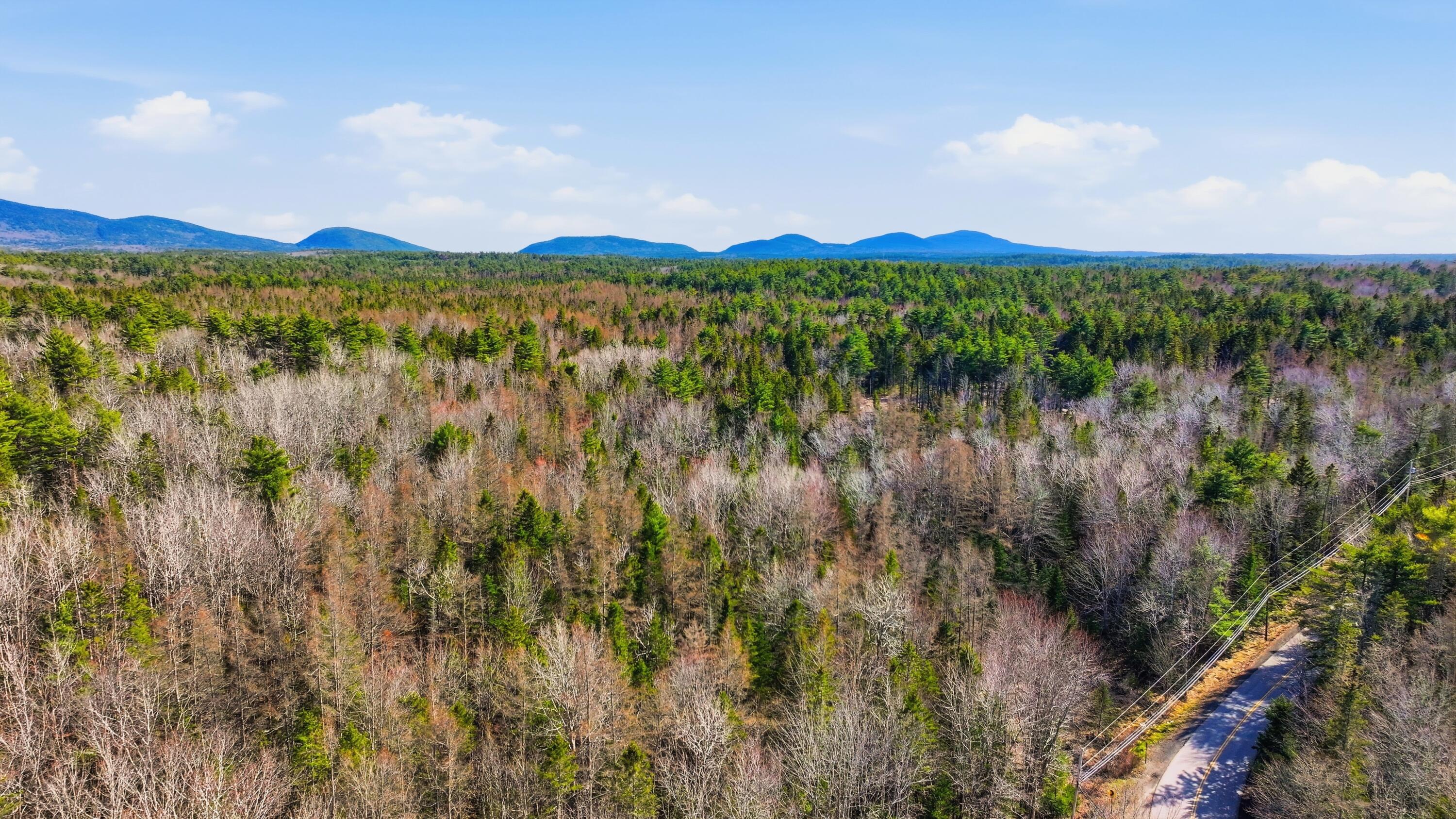 0 Crooked Road Bar Harbor, ME 04609 - Photo 6 of 12 Lamacchia_Realty_011