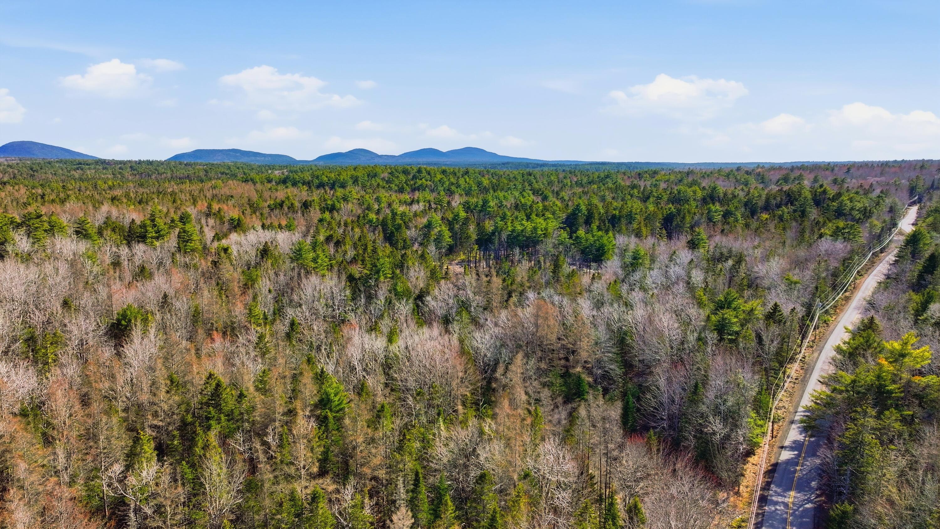 0 Crooked Road Bar Harbor, ME 04609 - Photo 7 of 12 Lamacchia_Realty_012