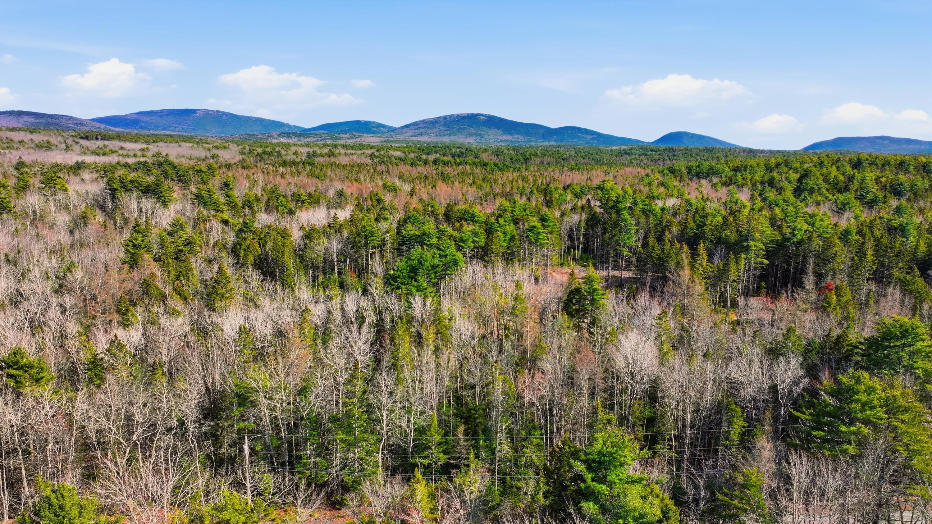 0 Crooked Road Bar Harbor, ME 04609 - Photo 9 of 12 Lamacchia_Realty_015