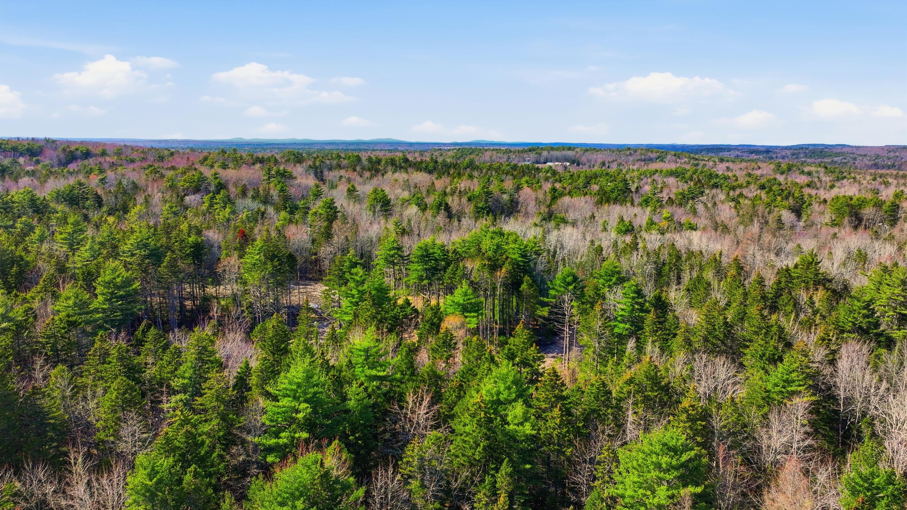 0 Crooked Road Bar Harbor, ME 04609 - Photo 10 of 12 Lamacchia_Realty_016