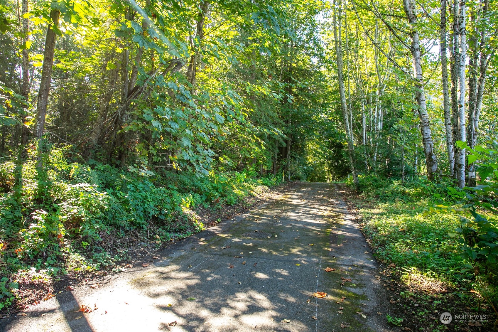 1003 Rainier Loop Mount Vernon, WA 98274 - Photo 37 of 40