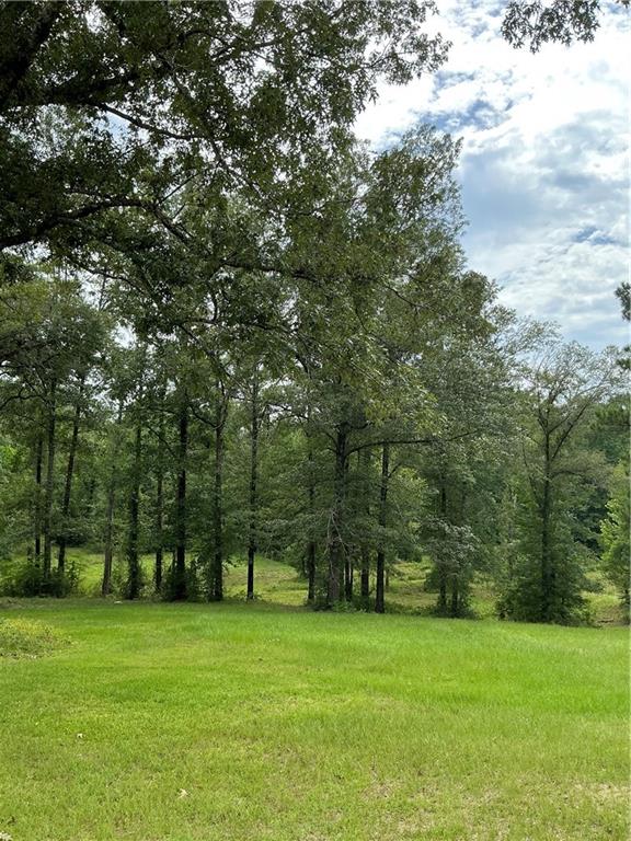 344 Gr Bardwell Road Lena, LA 71447 - Photo 55 of 55