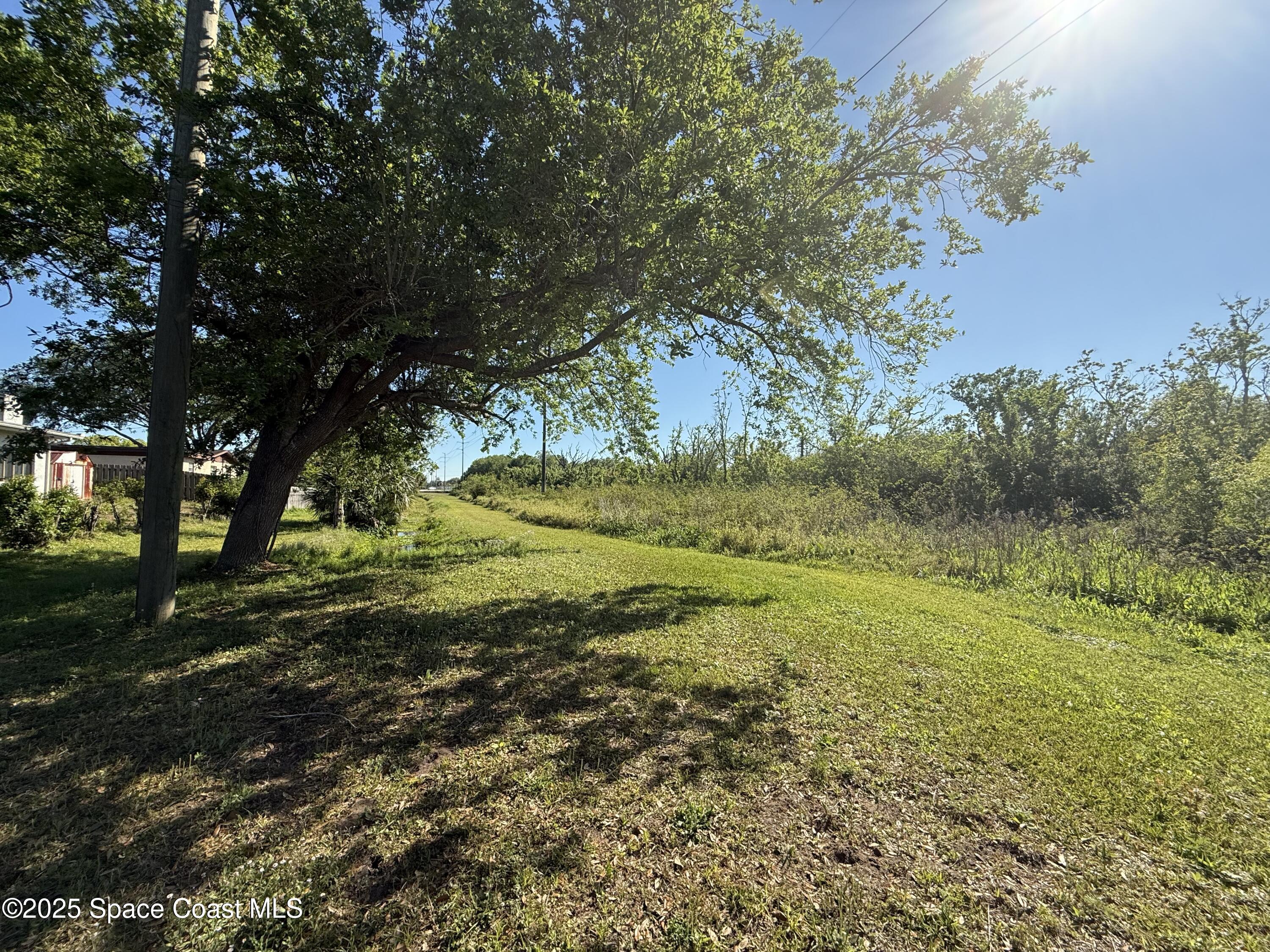 3960 Raney Road Titusville, FL 32780 - Photo 4 of 33 a view of a field with trees