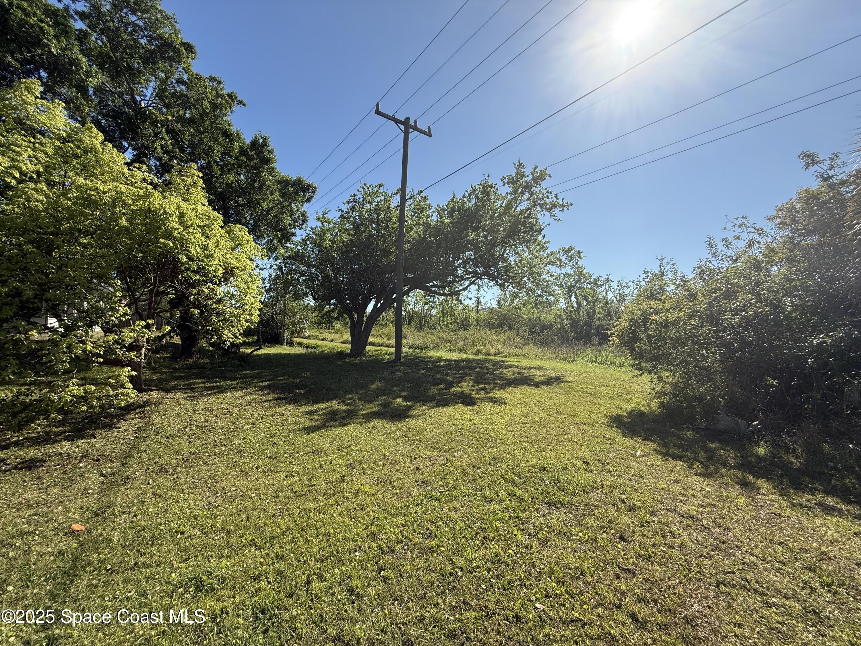 3960 Raney Road Titusville, FL 32780 - Photo 5 of 33 a view of a yard with a tree