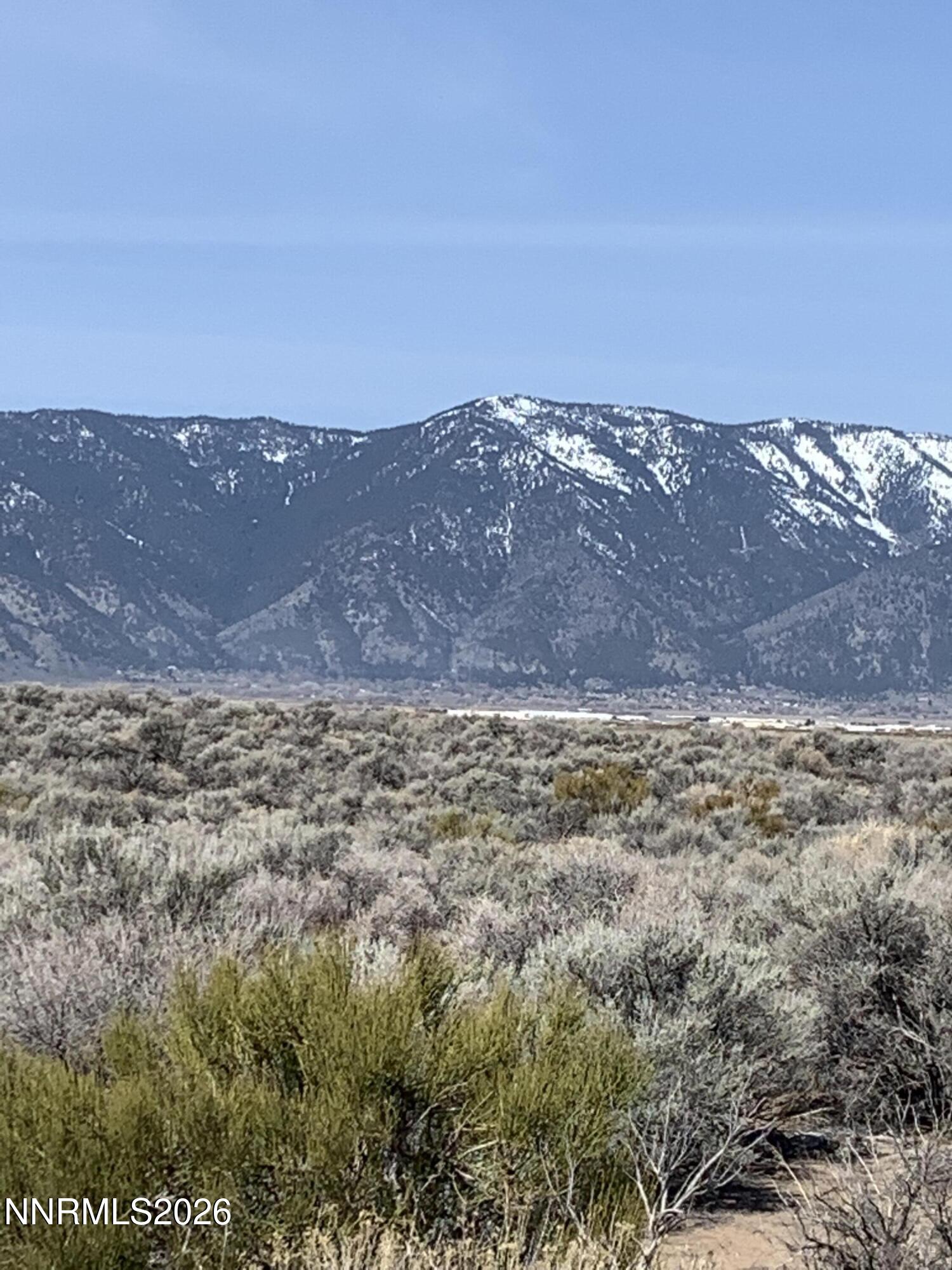 2042 East Valley Road Minden, NV 89423 - Photo 15 of 21 a view of outdoor space and mountain view