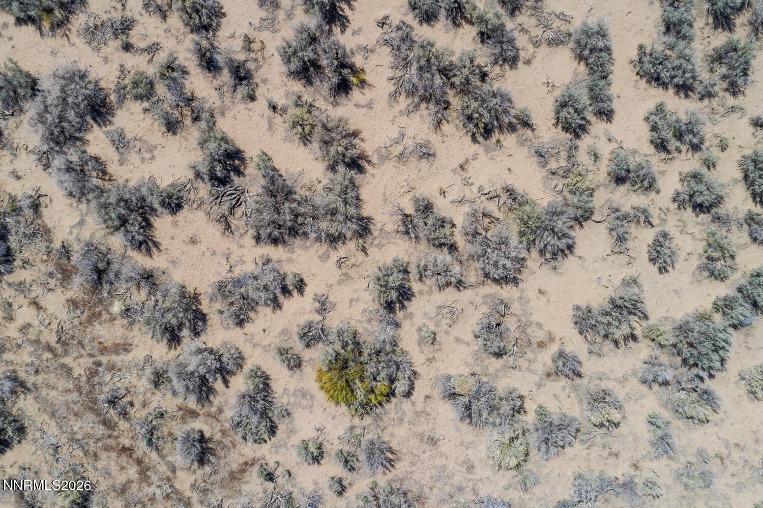 2042 East Valley Road Minden, NV 89423 - Photo 20 of 21 a view of a dry yard with a dry yard