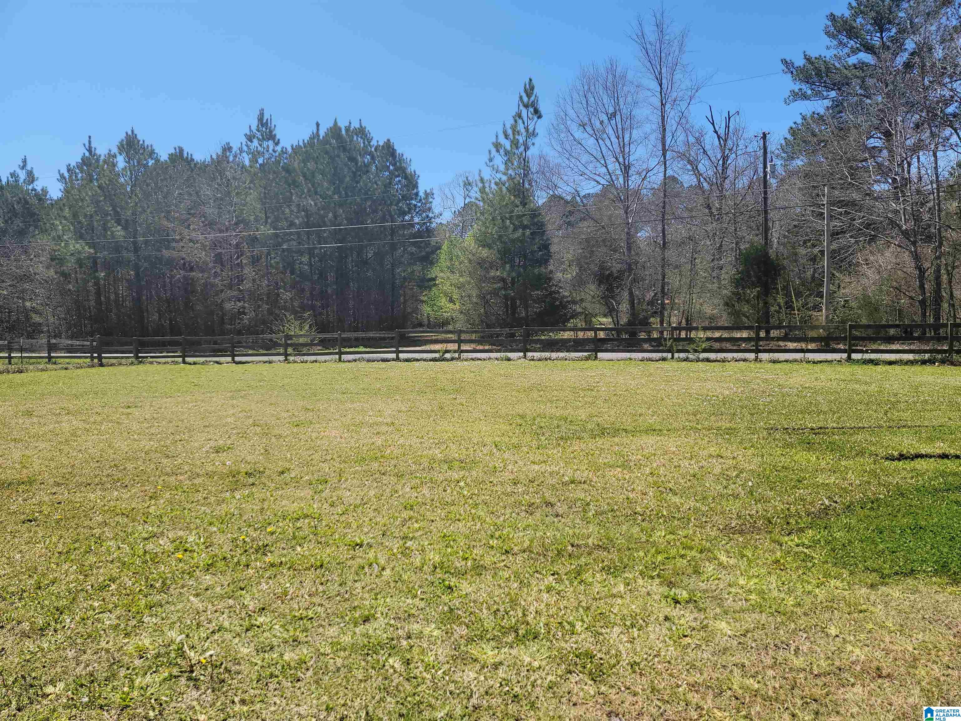 319 Jones Village Road Springville, AL 35146 - Photo 4 of 48