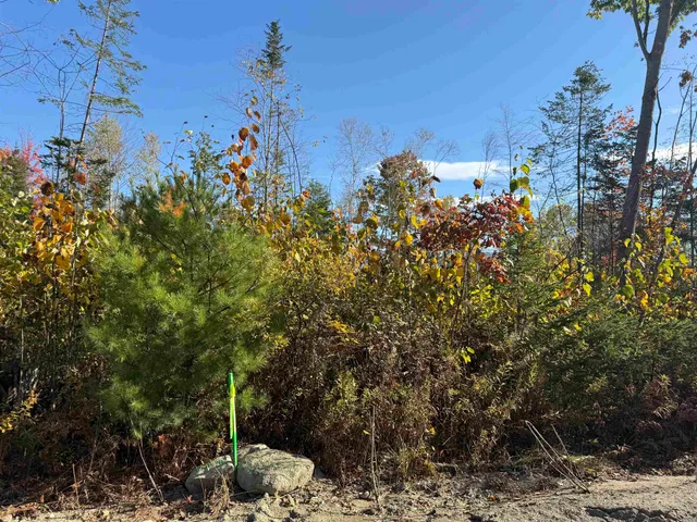 $54,500 | Lot 25 Hartco Avenue, Lancaster, NH 03584