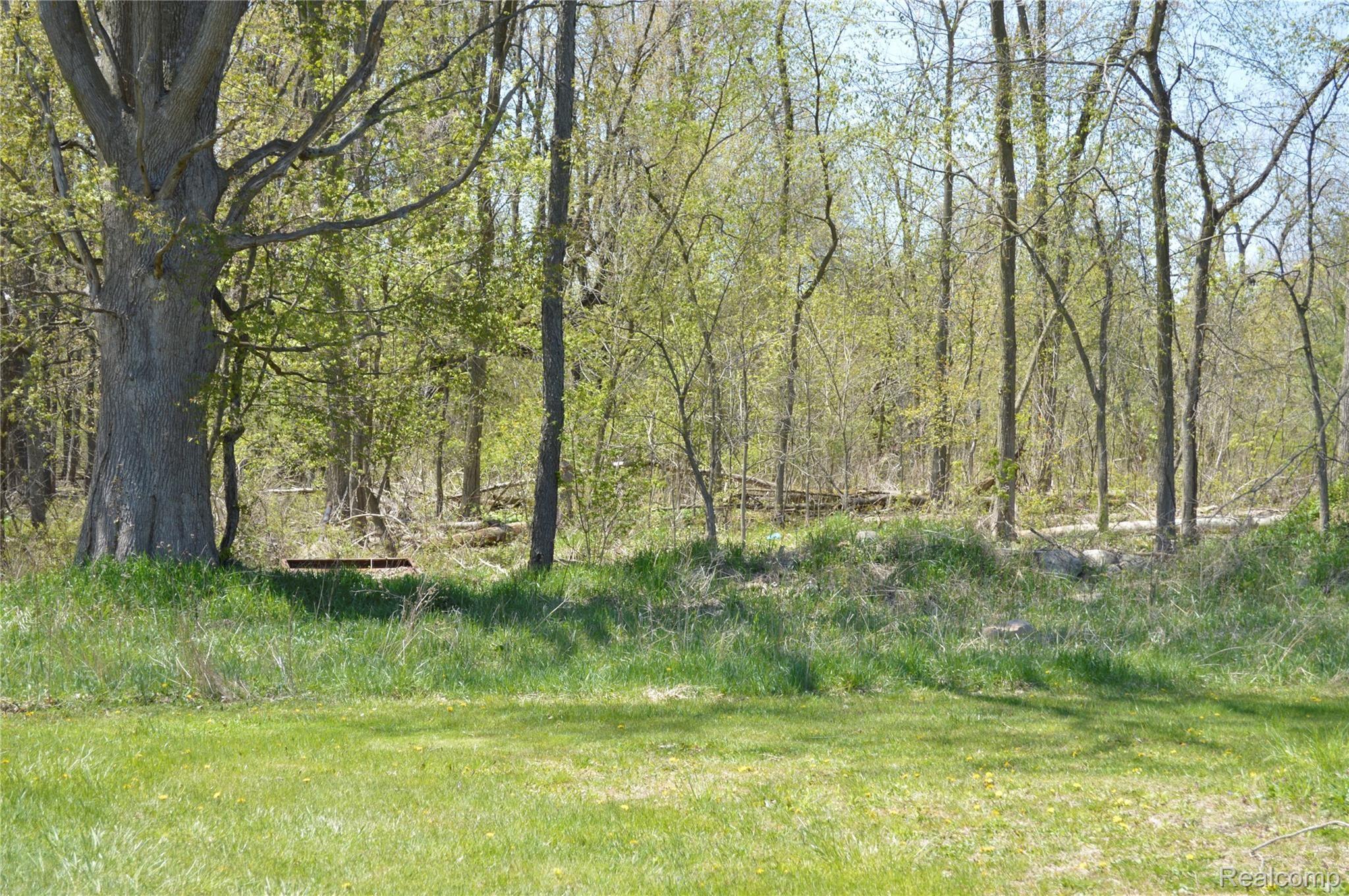 5181 Morrice Road Webberville, MI 48892 - Photo 47 of 58 Out Back