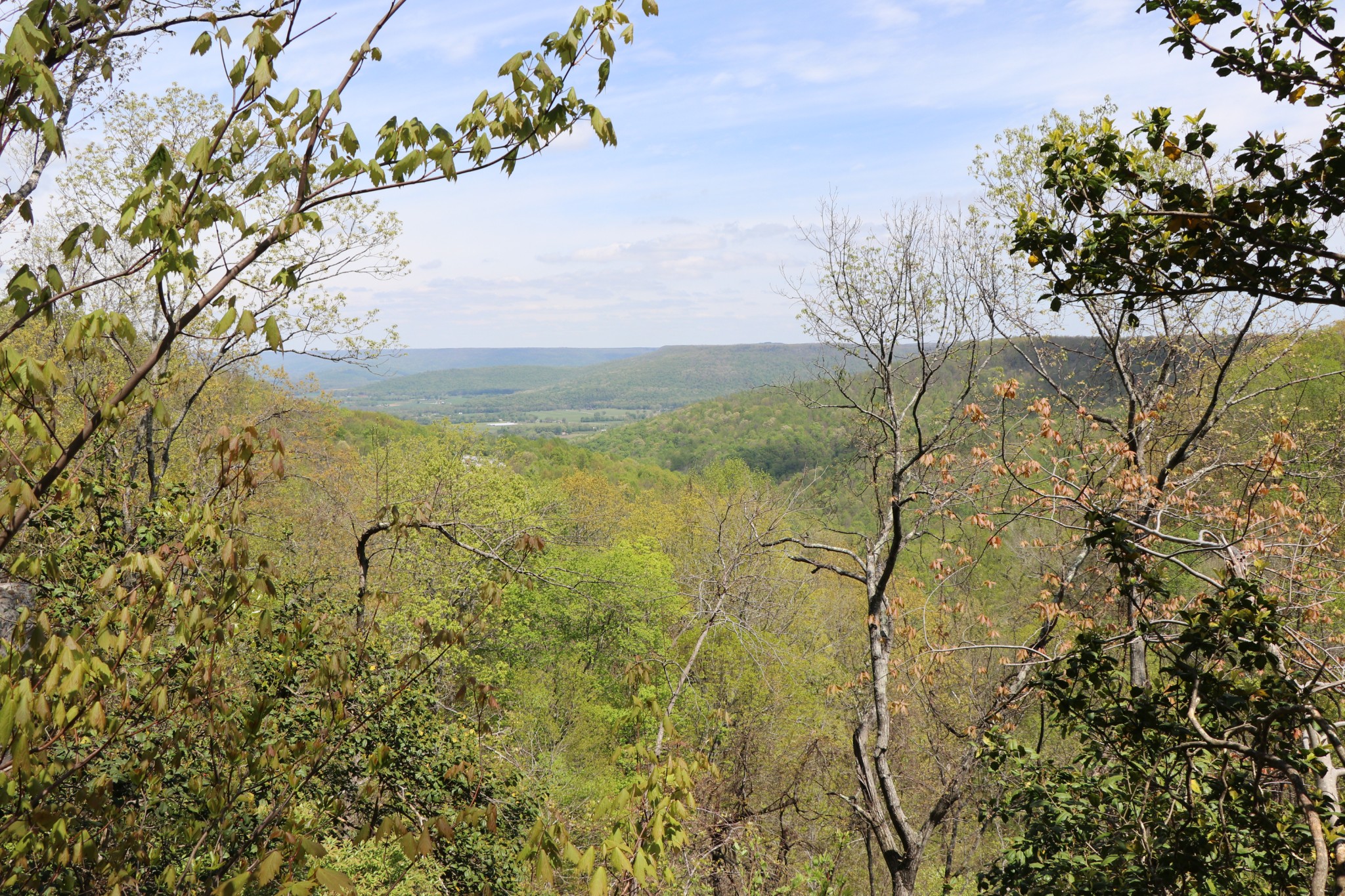 11 Cooley's Rift Boulevard Monteagle, TN 37356 - Photo 29 of 50 a view of lake view with lake view