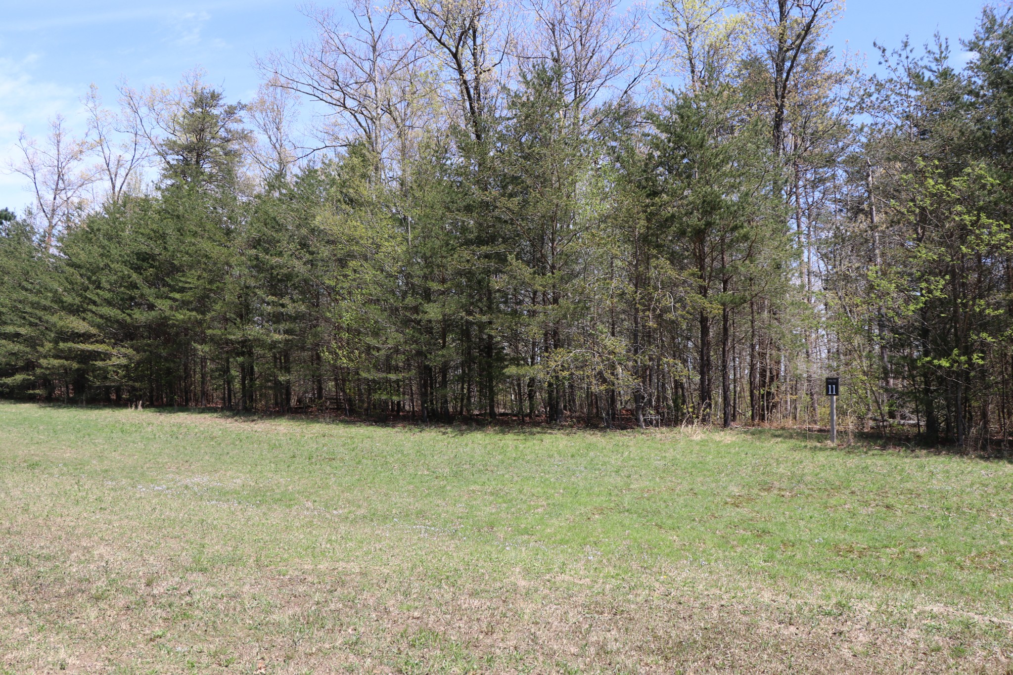 11 Cooley's Rift Boulevard Monteagle, TN 37356 - Photo 36 of 50 a view of a yard with trees in the background