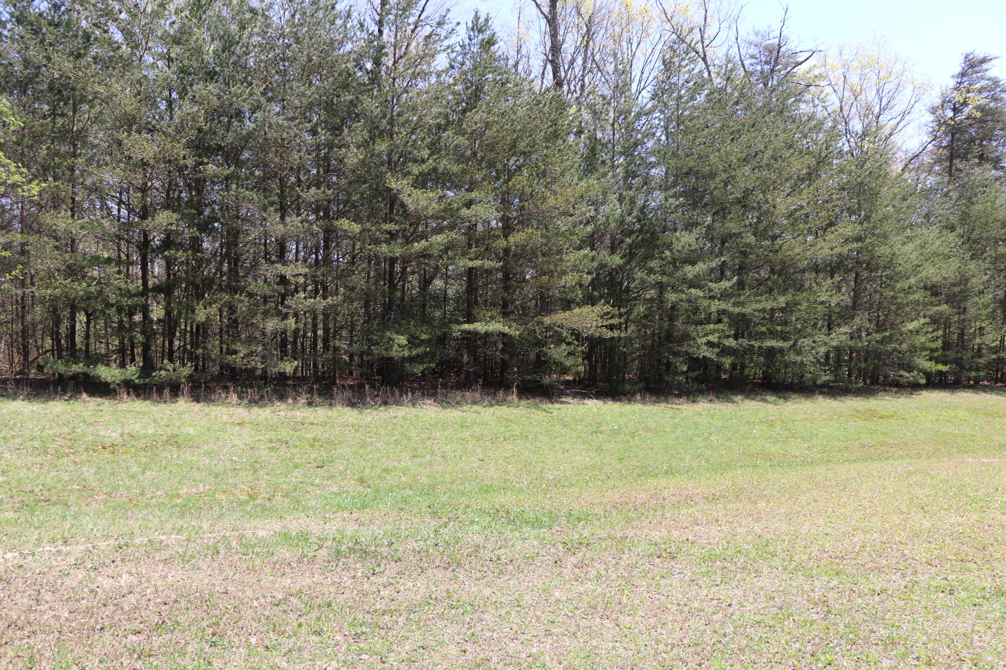 11 Cooley's Rift Boulevard Monteagle, TN 37356 - Photo 38 of 50 a view of a yard