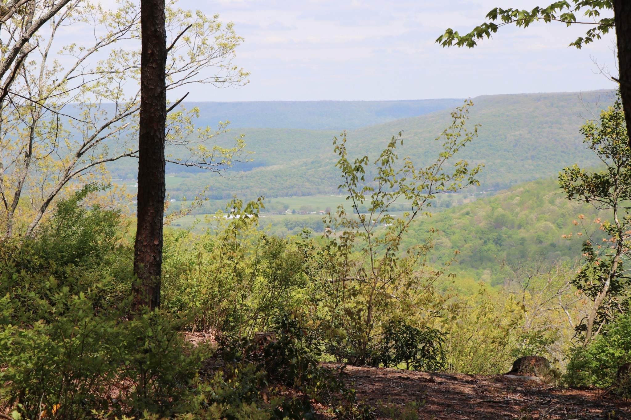 11 Cooley's Rift Boulevard Monteagle, TN 37356 - Photo 7 of 50 a view of lake with mountain