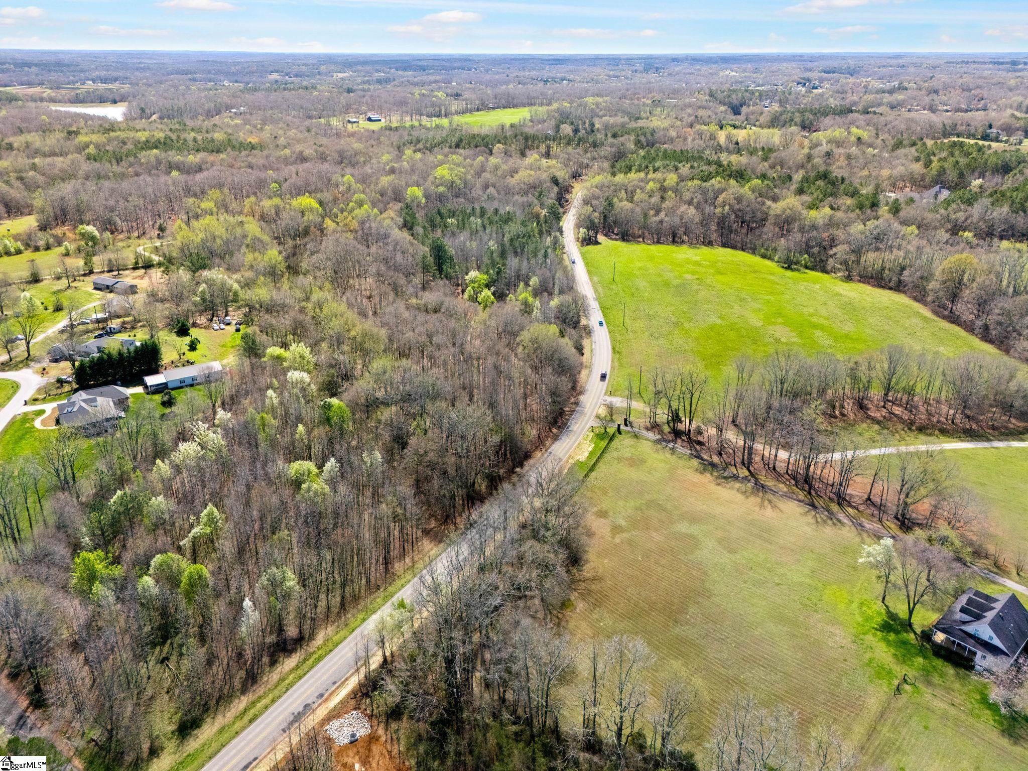 0 Reedy Fork Road Pelzer, SC 29669 - Photo 12 of 20