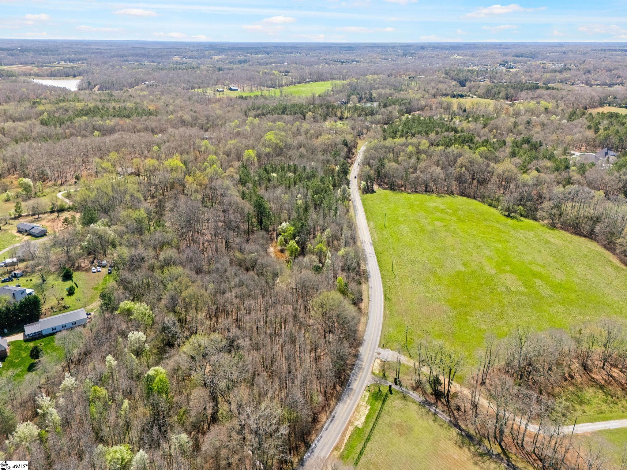 0 Reedy Fork Road Pelzer, SC 29669 - Photo 13 of 20