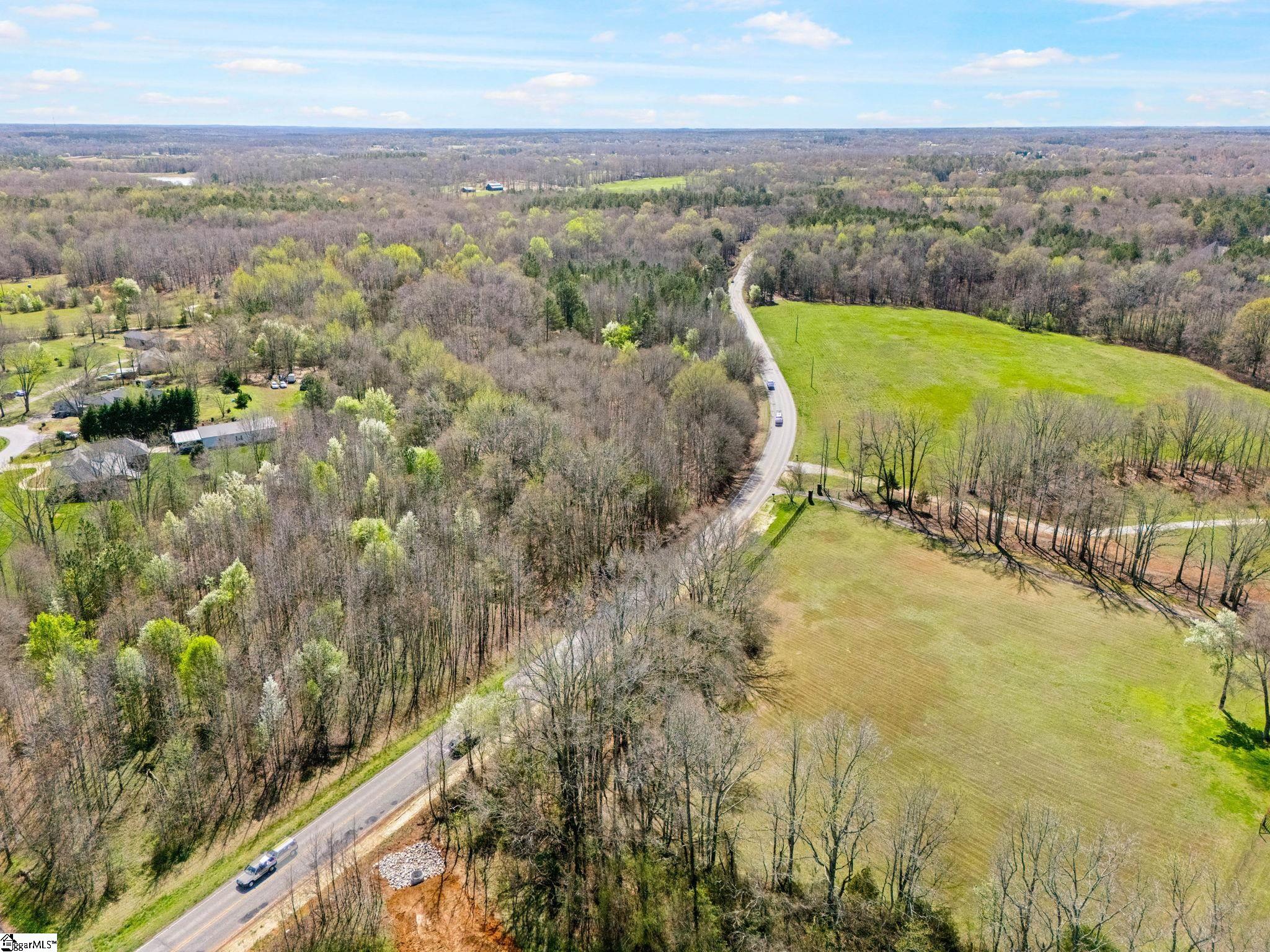0 Reedy Fork Road Pelzer, SC 29669 - Photo 14 of 20