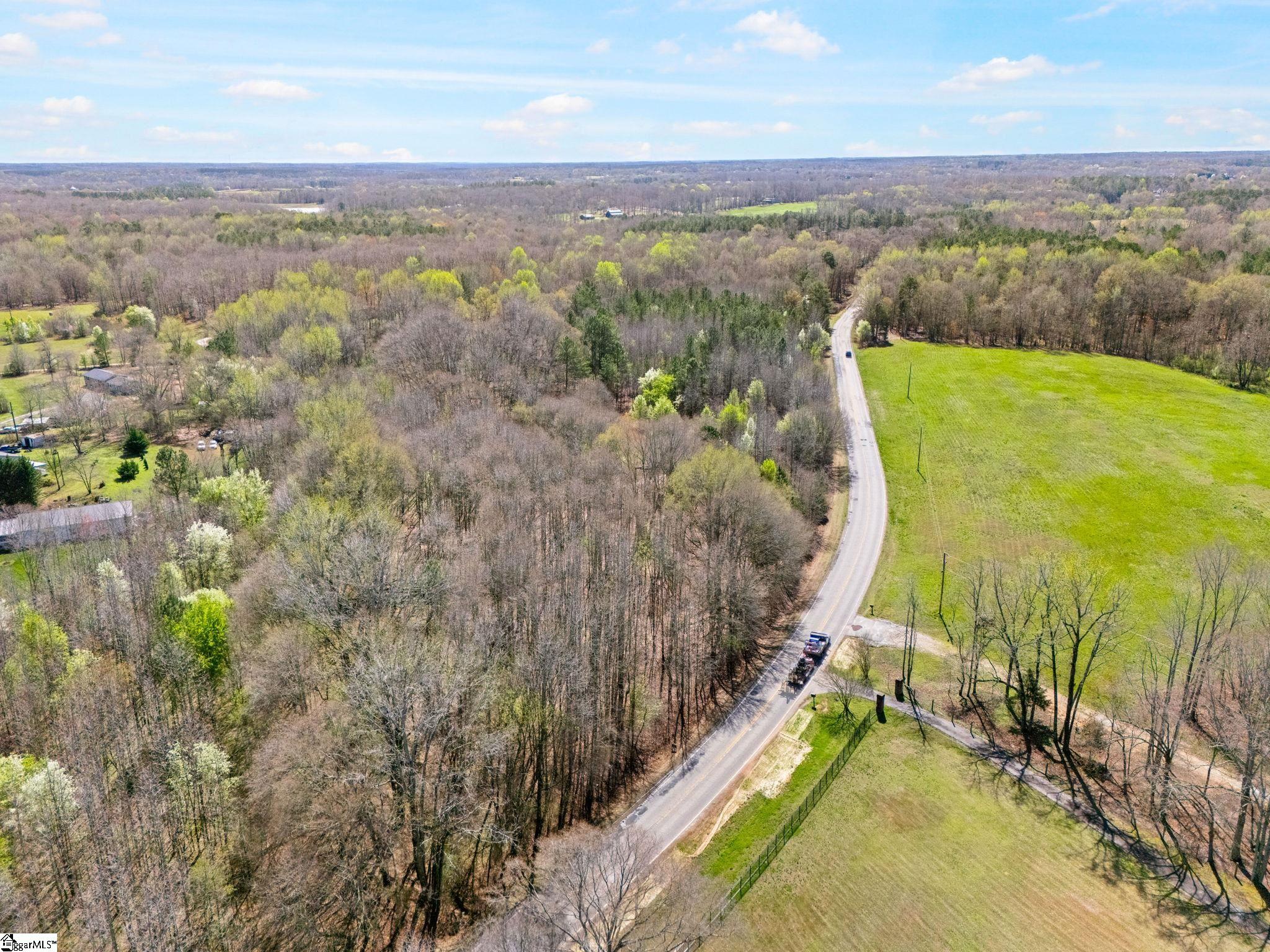 0 Reedy Fork Road Pelzer, SC 29669 - Photo 15 of 20