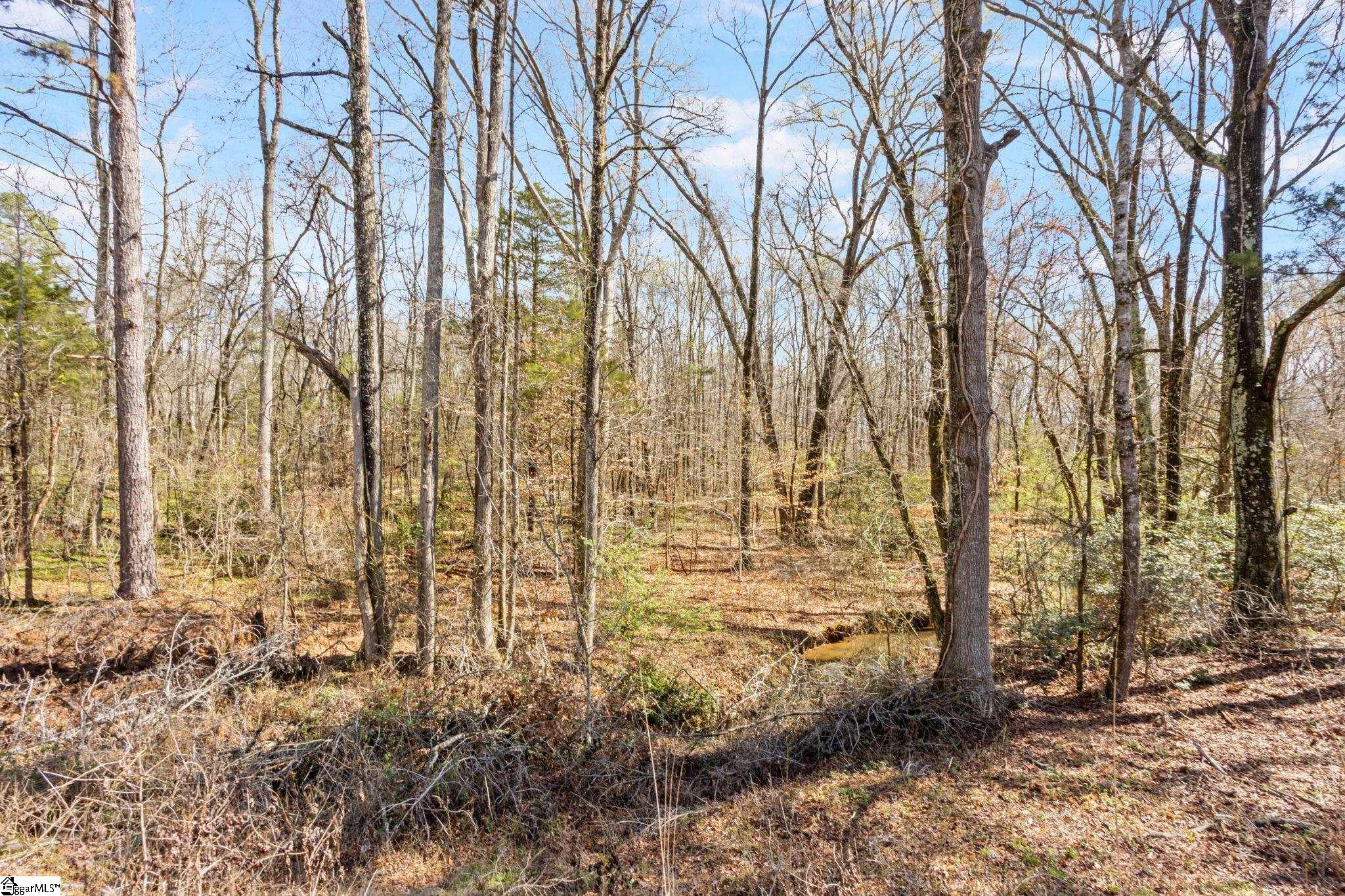 0 Reedy Fork Road Pelzer, SC 29669 - Photo 16 of 20