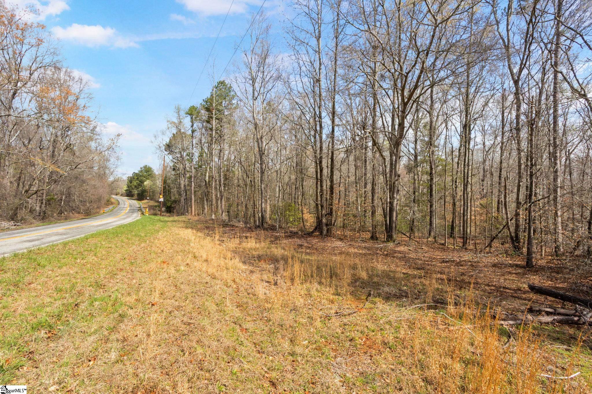0 Reedy Fork Road Pelzer, SC 29669 - Photo 17 of 20