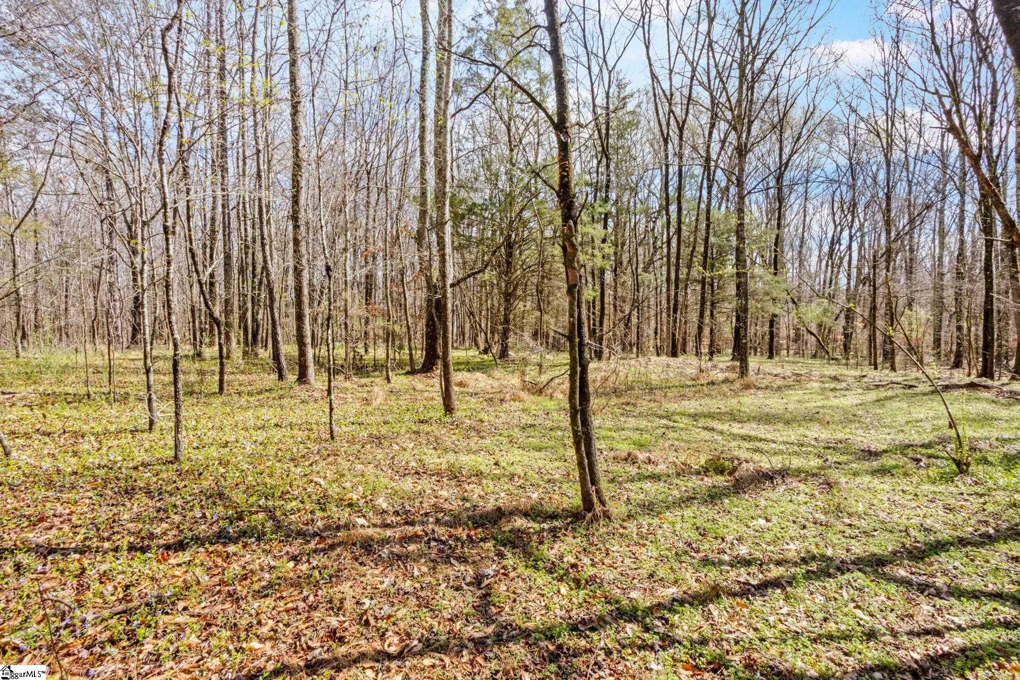 0 Reedy Fork Road Pelzer, SC 29669 - Photo 19 of 20