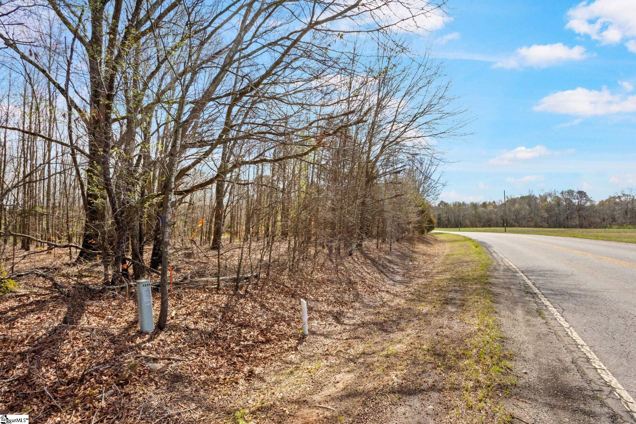 0 Reedy Fork Road Pelzer, SC 29669 - Photo 20 of 20