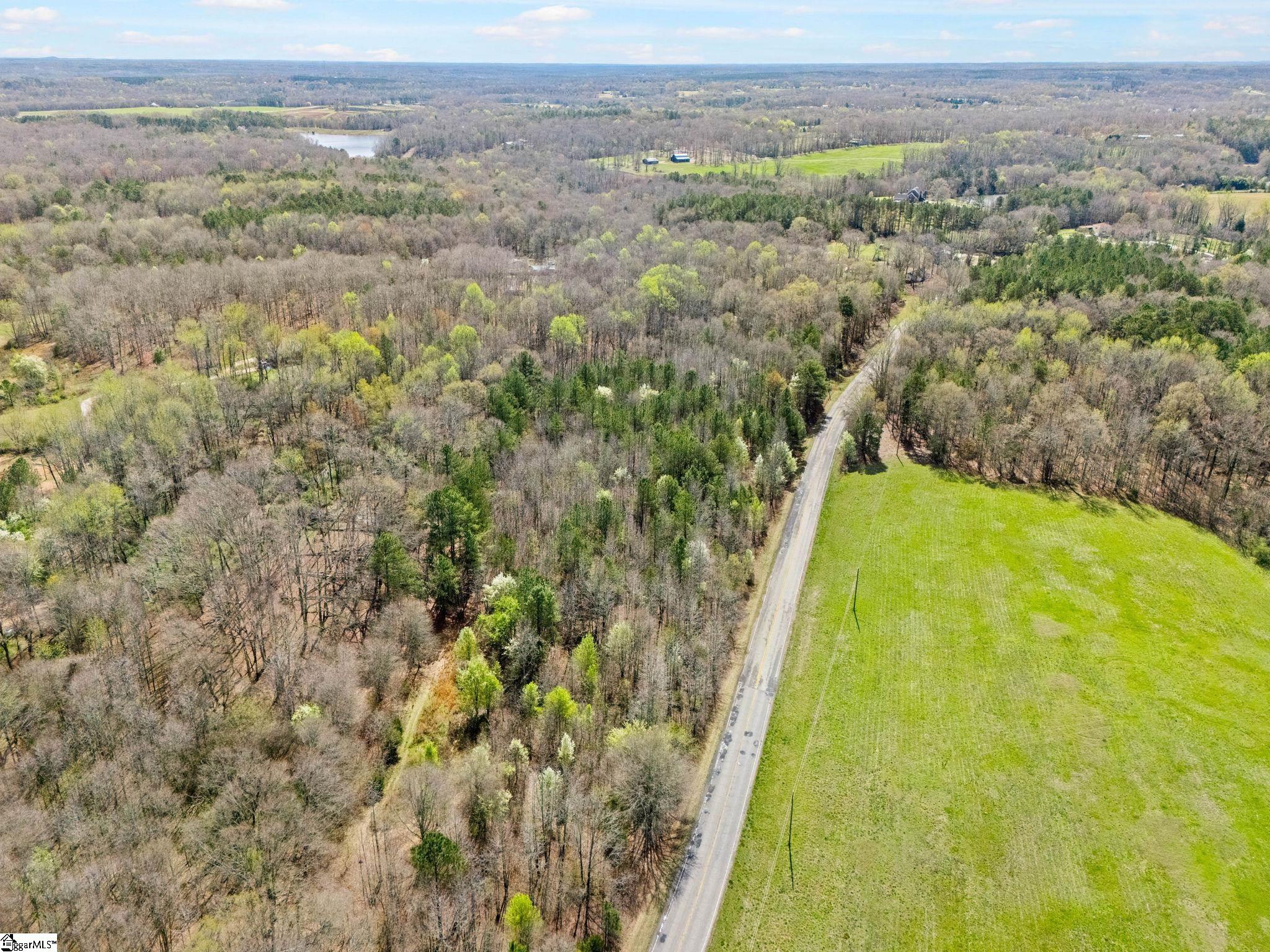 0 Reedy Fork Road Pelzer, SC 29669 - Photo 2 of 20