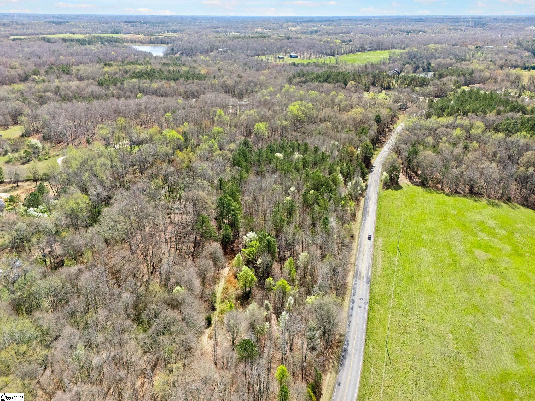 0 Reedy Fork Road Pelzer, SC 29669 - Photo 3 of 20