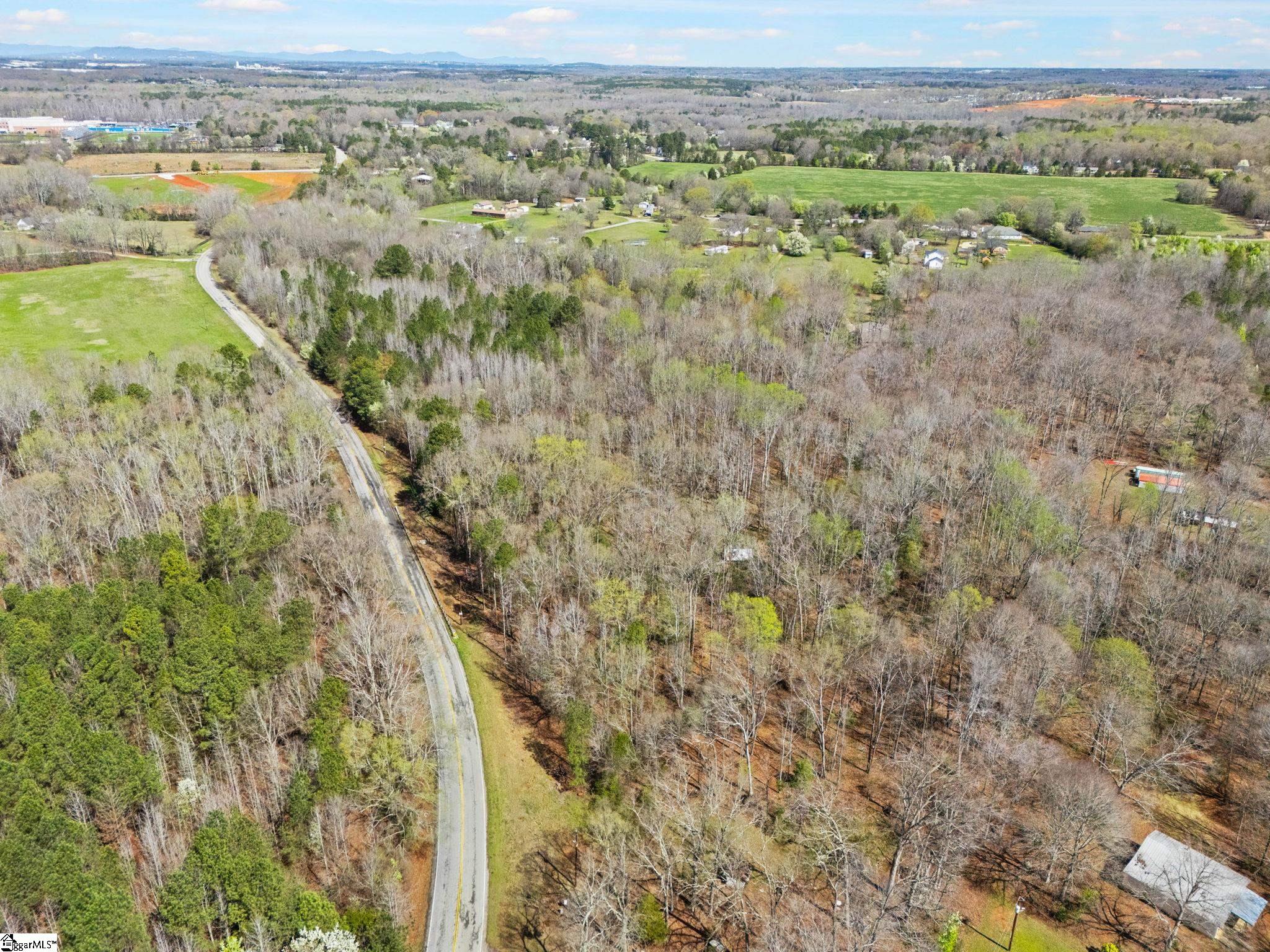 0 Reedy Fork Road Pelzer, SC 29669 - Photo 4 of 20
