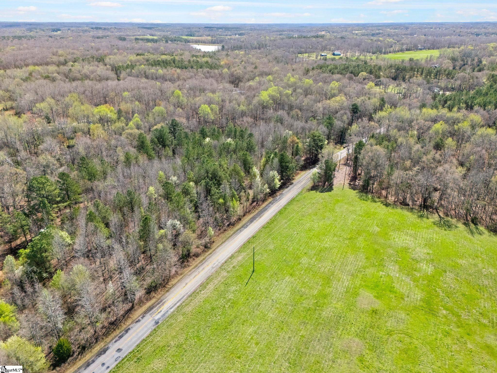 0 Reedy Fork Road Pelzer, SC 29669 - Photo 7 of 20