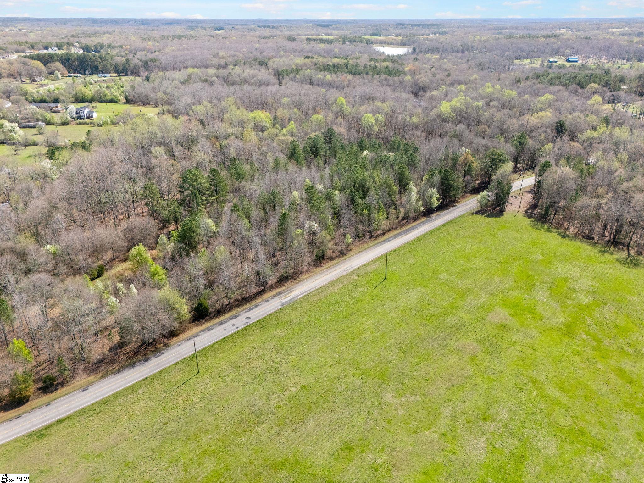 0 Reedy Fork Road Pelzer, SC 29669 - Photo 8 of 20
