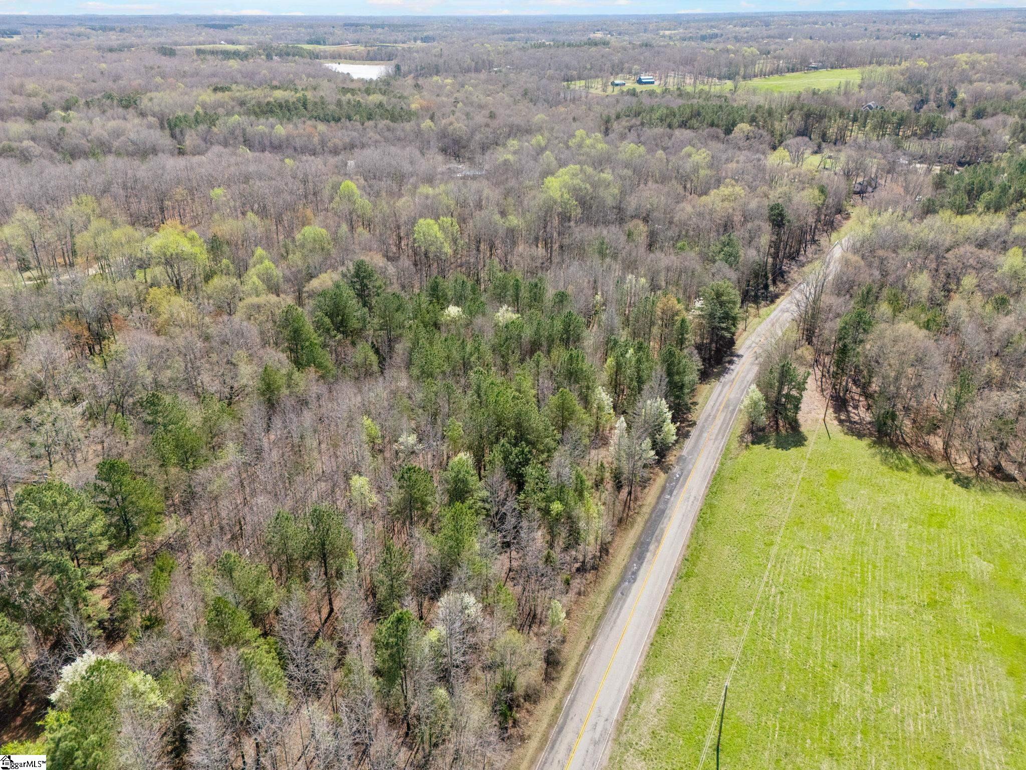 0 Reedy Fork Road Pelzer, SC 29669 - Photo 9 of 20