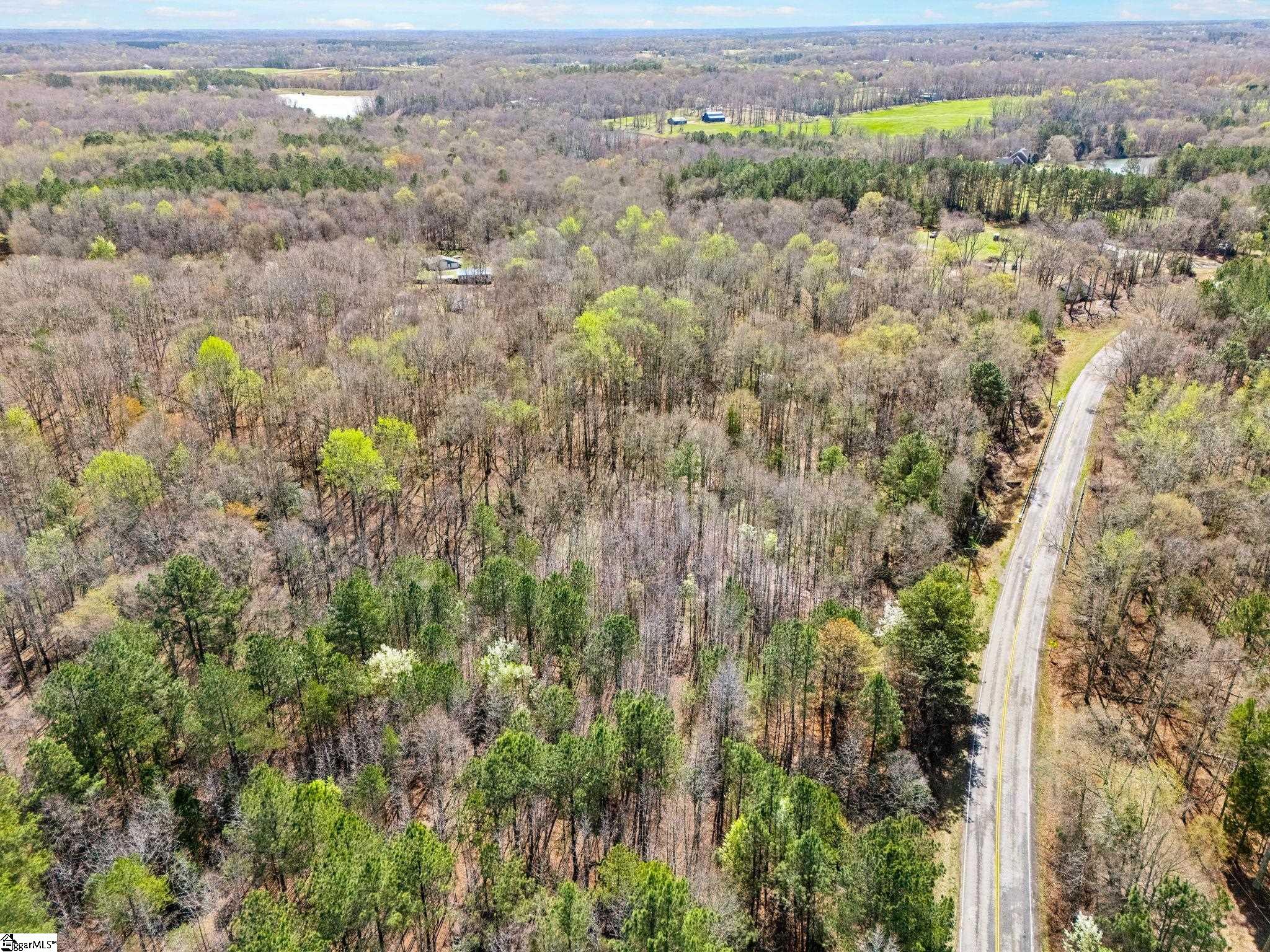 0 Reedy Fork Road Pelzer, SC 29669 - Photo 10 of 20