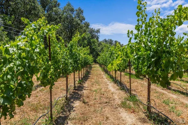 $2,495,000 | 5647 Highway 128, Geyserville, CA 95441