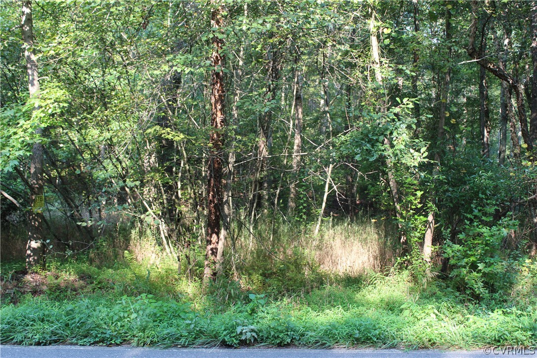 0 Venter Road Aylett, VA 23009 - Photo 2 of 8 looking into property from Venter Rd