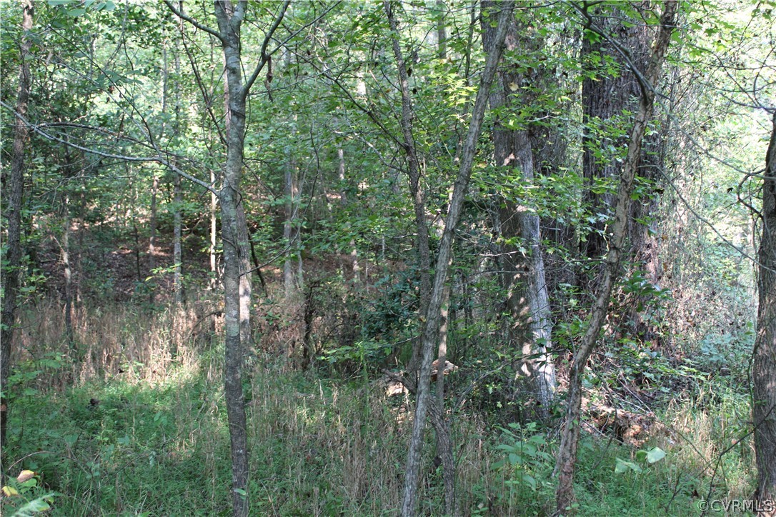 0 Venter Road Aylett, VA 23009 - Photo 5 of 8 looking into property, this raised hill may be a g
