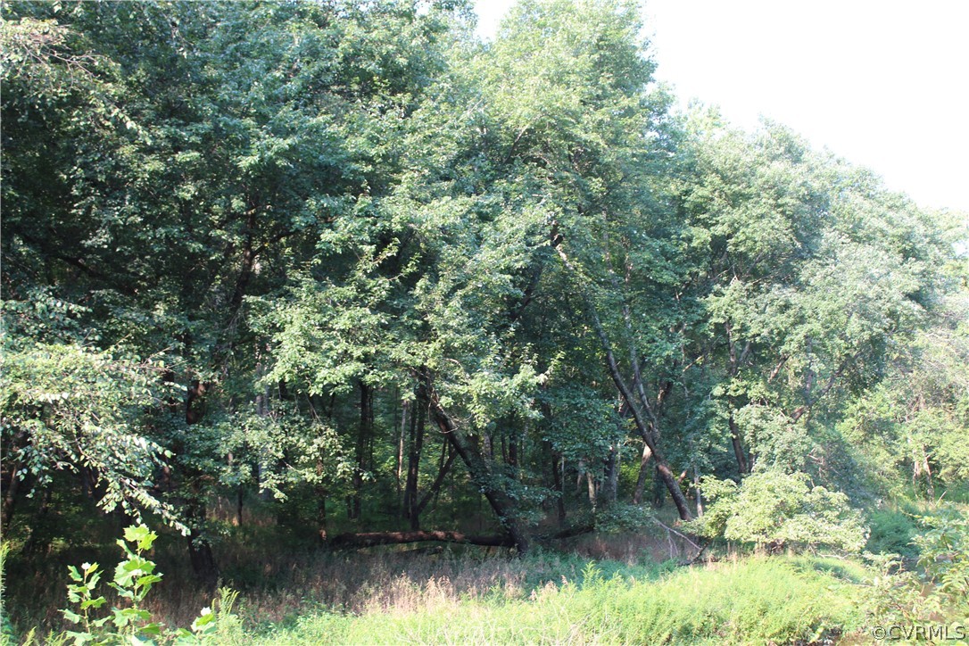 0 Venter Road Aylett, VA 23009 - Photo 7 of 8 looking across creek into land