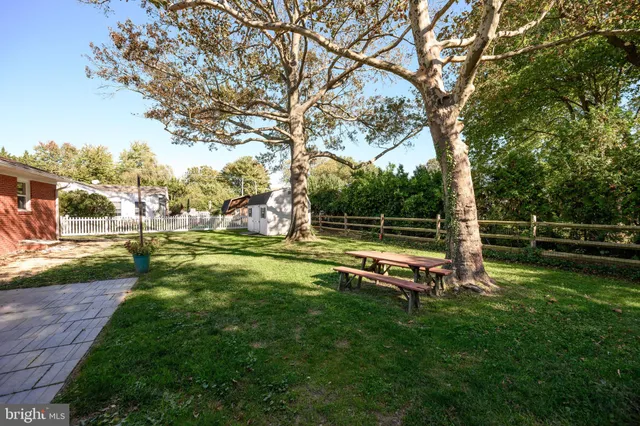 a view of a park with large trees